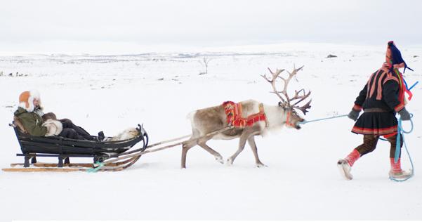 sleigh