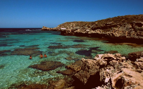 rottnestsnorkelers-copy