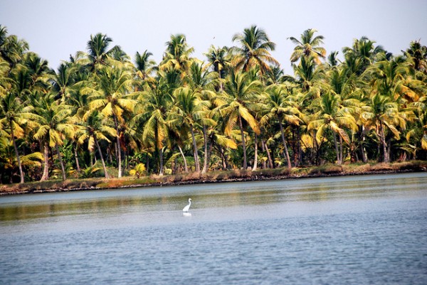 kerala backwaters 6662567015 ed3ef91139 z 600x401 A house on the water through the backwaters of Kerala, India
