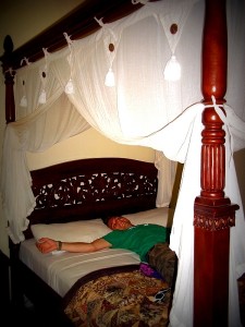 Ubud11