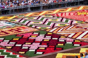 Brussels flower carpet