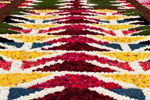 Brussels flower carpet