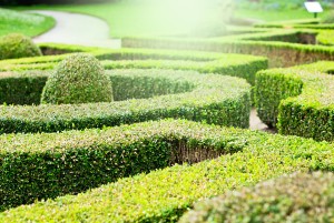 mazegardenchatsworth1