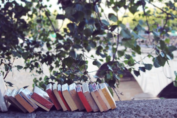 Books seine