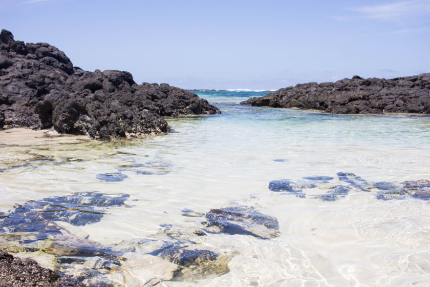 It might sounds like a stereotypical holiday island, but there is more to Fuerteventura than British steakhouses and all-inclusive hotels!