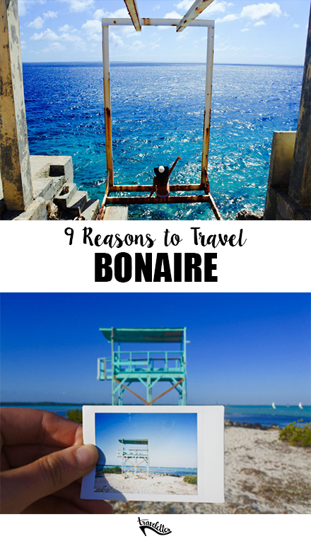 Bon Bini Welcome to Bonaire Things to do in Bonaire