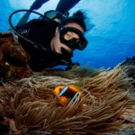 Scuba diving in Micronesia