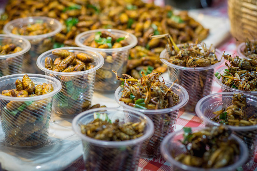 thai-food-misconception-meat-vegetarian-bugs