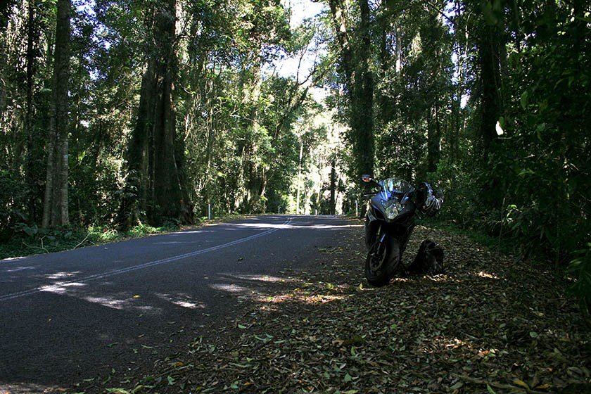 A motorcycle road trip can be a great way to get a little taster of everything Queensland has to offer - here are two amazing day trips for inspiration.