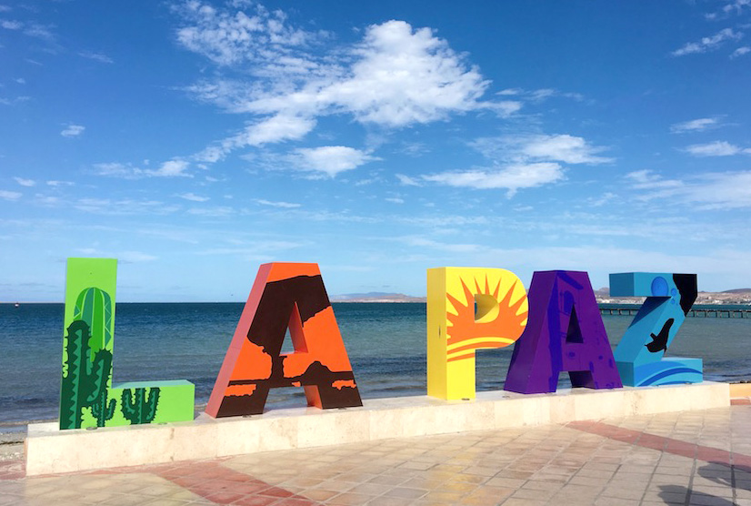 A beginner's guide to La Paz, Mexico