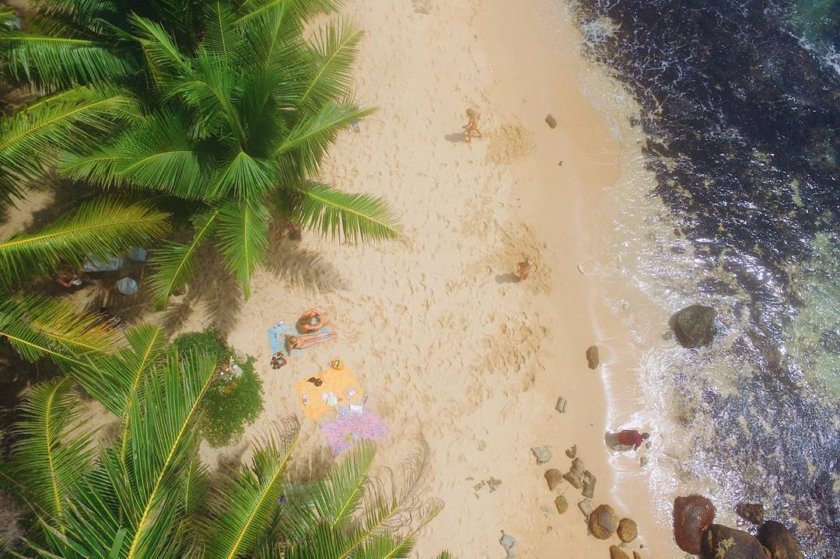 Travel Tips for Sri Lanka by Travel Bloggers