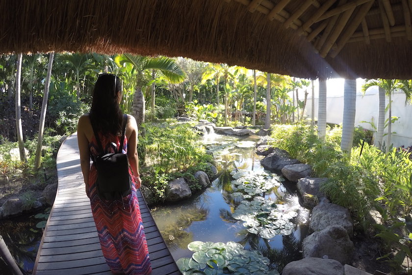 3 Awesome Day Trips from Mexico City