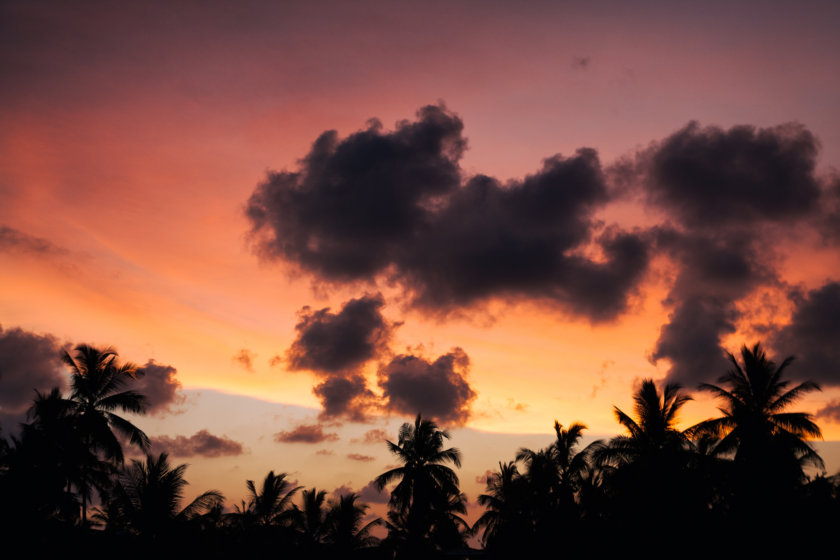 These are the places and experiences in Sri Lanka you mustn't miss, according to travel bloggers!