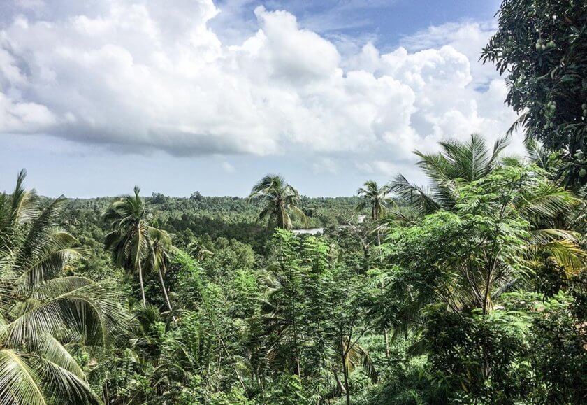 15 Things to do, eat & see in Sri Lanka