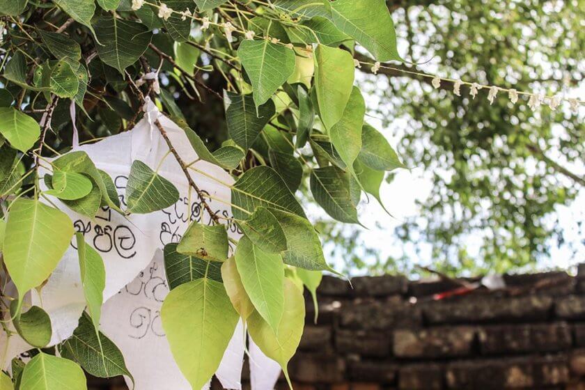 15 Things to do, eat & see in Sri Lanka