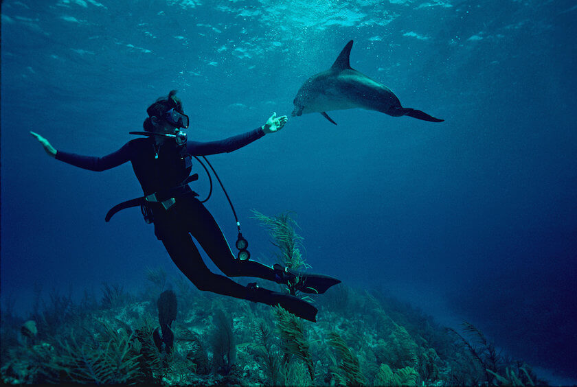 Have you ever heard about the scientist Sylvia Earle? If your answer is no, this is your chance to find out everything about her and the Mission Blue project.