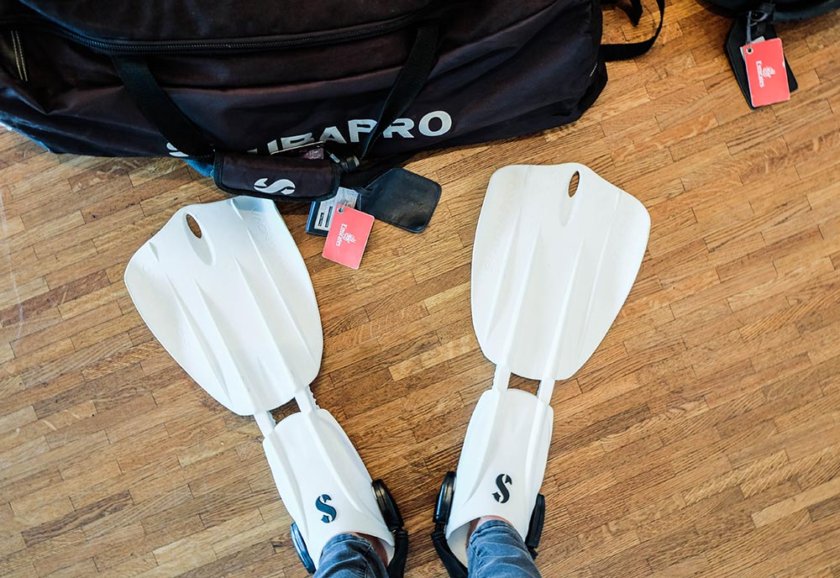 The best tips to fly coach in comfort