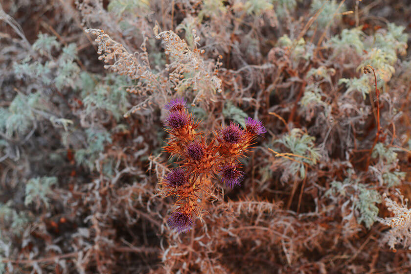 In Photos: A roadtrip through Sardinia