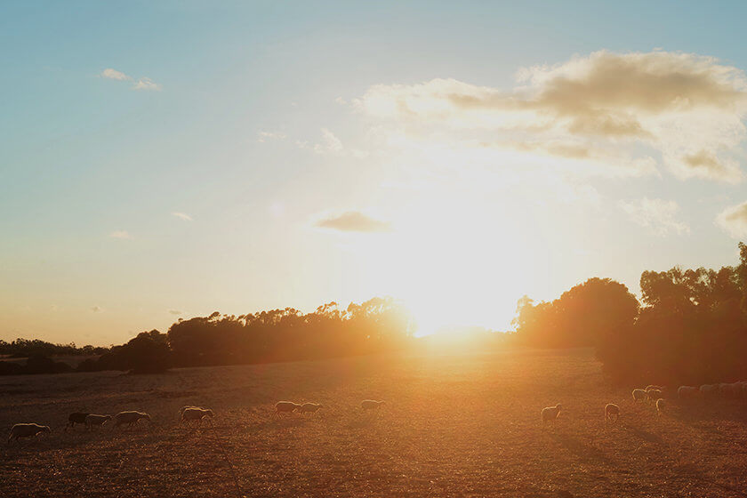 In Photos: A roadtrip through Sardinia