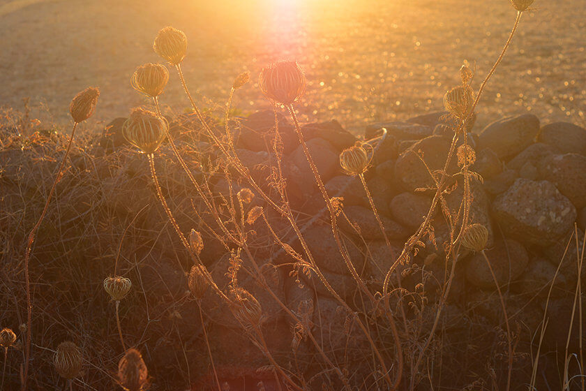 In Photos: A roadtrip through Sardinia