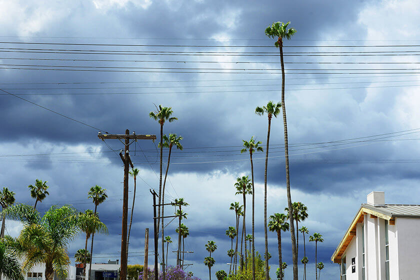 In photos: Dream away to California