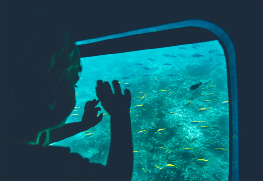 10 good tips for traveling to the Maldives