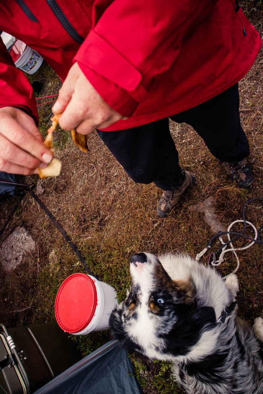 What happens when 16 women hike together through the Swedish wilderness? They become "Women on the Trail" and challenge what we considers as an "adventurer"!