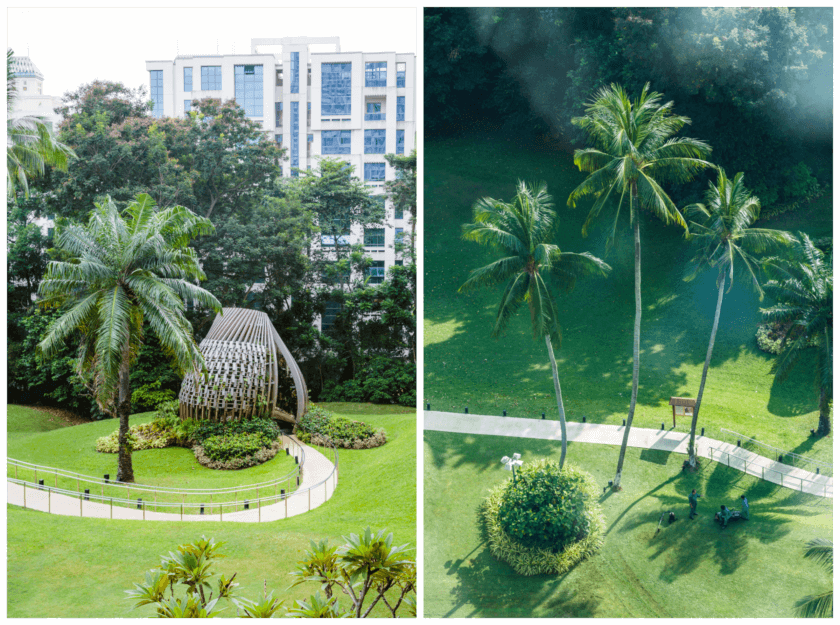 An Oasis in the City: Finding Bliss at the Shangri-La, Singapore