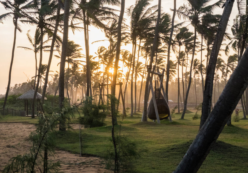 Waking up with Elephants – my Sri Lankan adventure