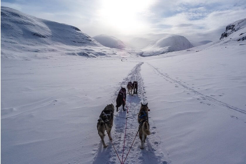 Winters are dark & cold up north, but these 10 experiences - from dog sledding to northern lights spotting - will make Sweden in winter an unforgettable holiday!
