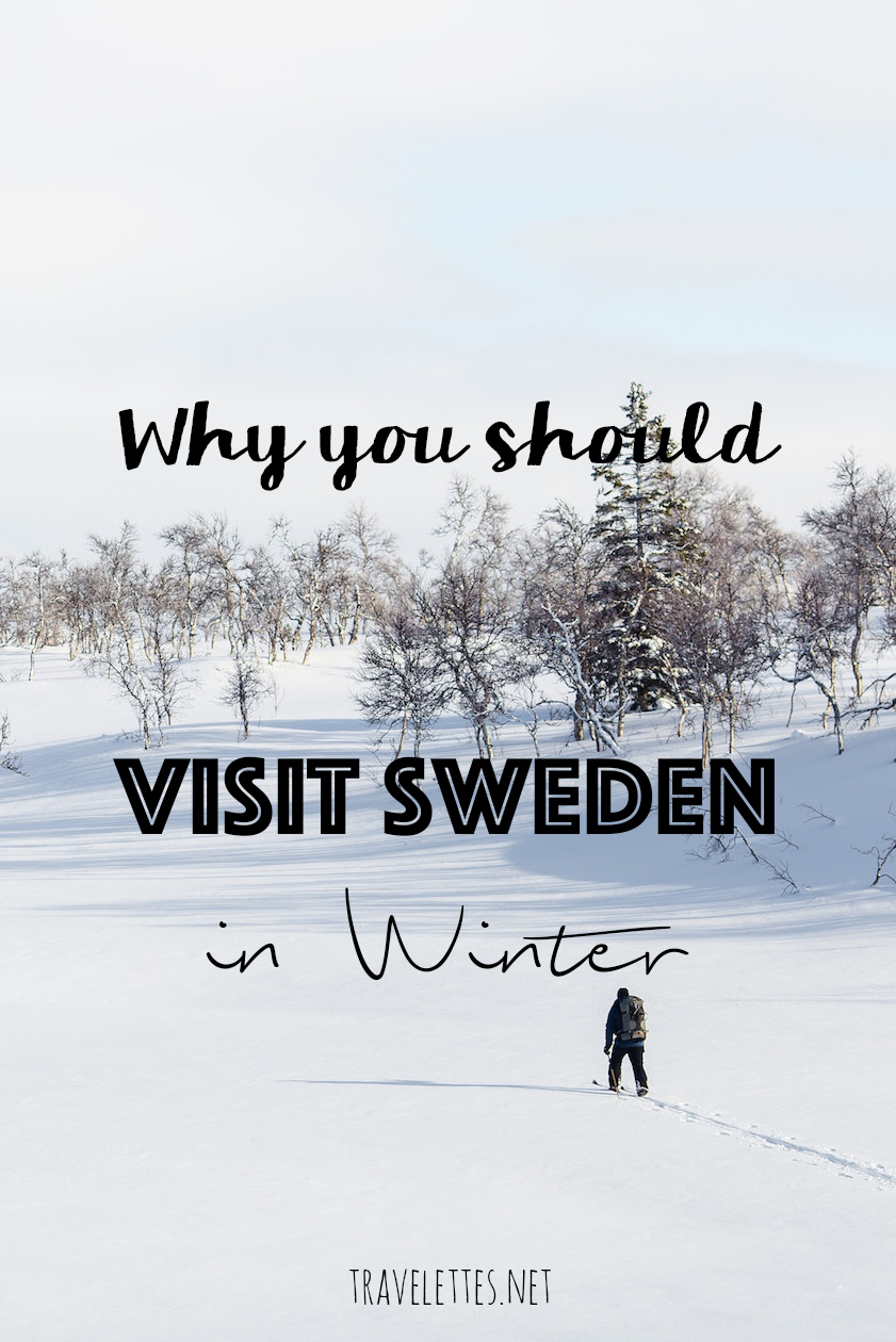 Why You should Visit Sweden in Winter