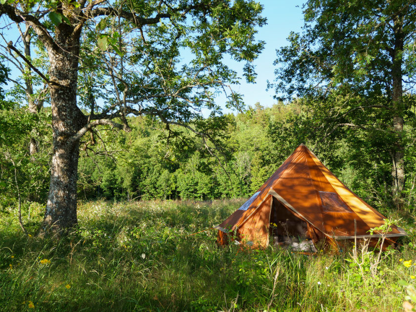 camping in the forest