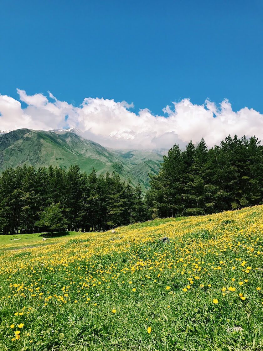 Georgia is a hidden gem, full of mountains, ancient historical sites, culture, food and wine. Here is my guide to a perfect two weeks in this magical country!