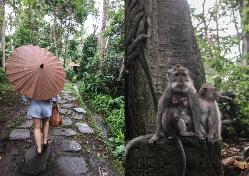 A beginner’s Guide to Ubud, Bali
