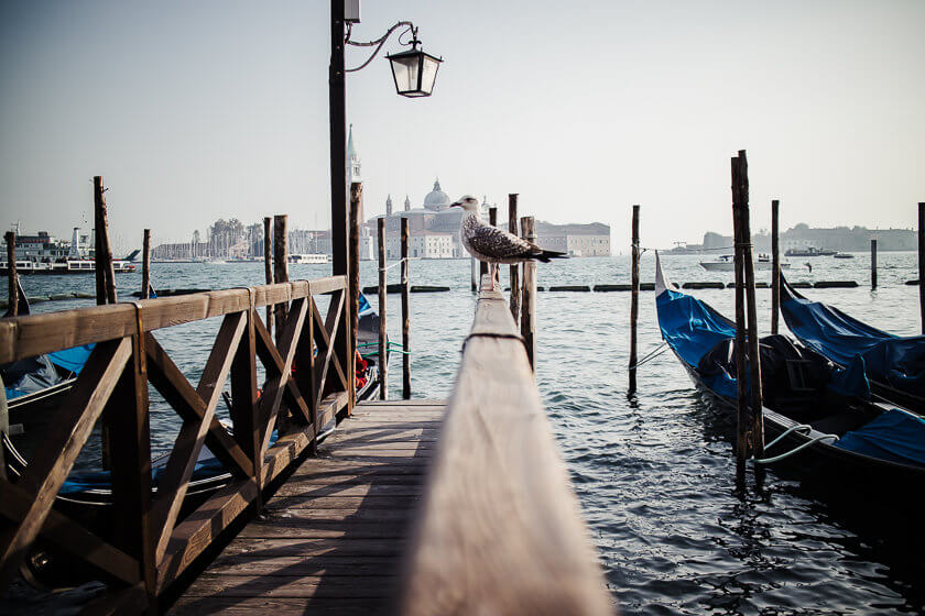 Your Ultimate Venice Bucket List
