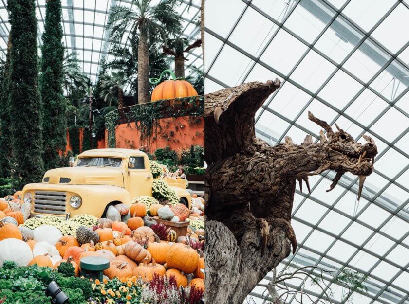 A beginner’s guide to Singapore