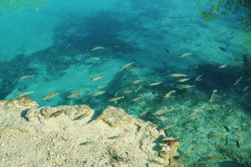A happy day in Bacalar, Mexico