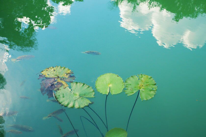 A happy day in Bacalar, Mexico