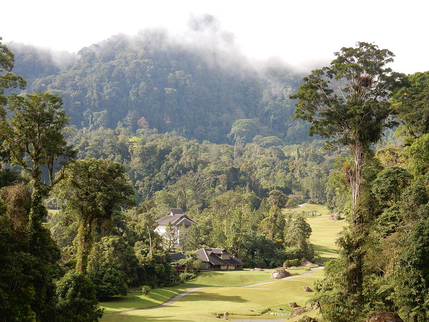 Rainforest Adventures in Sarawak, Borneo   