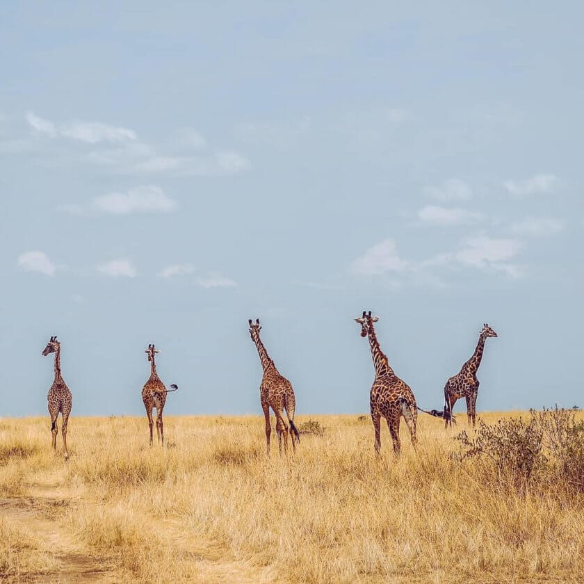 Travel with Nashipae: Meet the inspiring woman who quit her job and moved to Kenya
