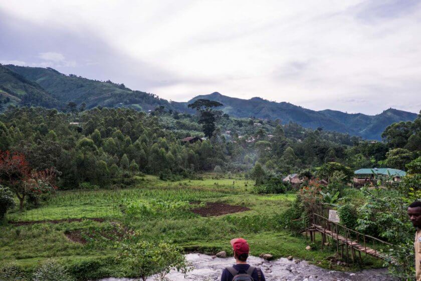 Roadtrip through Uganda: Finding Gorillas, Chimps & Lions