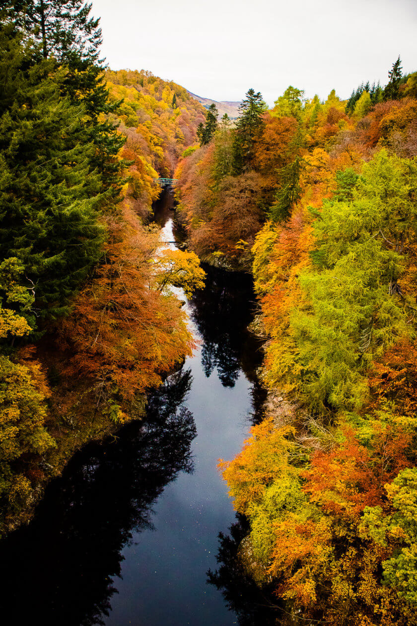 Fall foliage near Killiecrankie