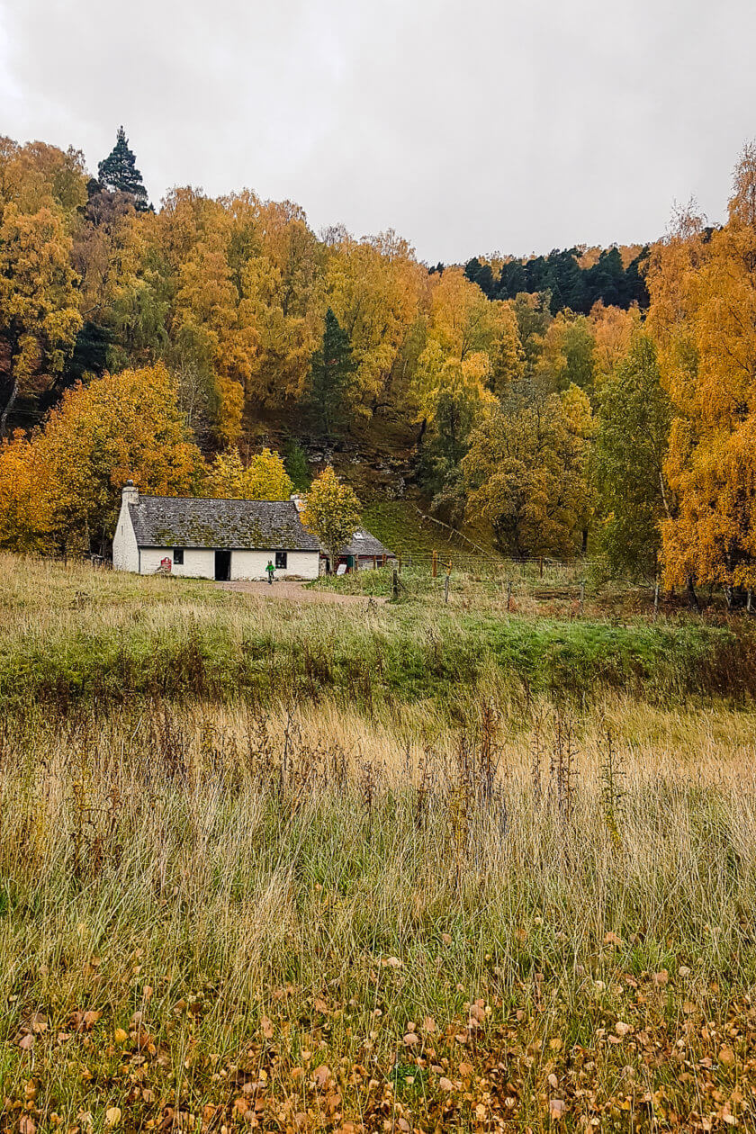 A house in the woodlands of the Cairngorms National Park