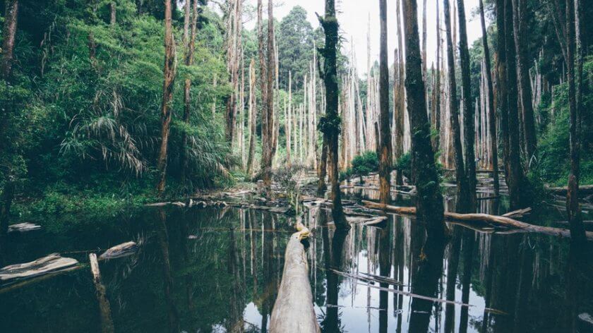20 Trips to take Before Turning 30