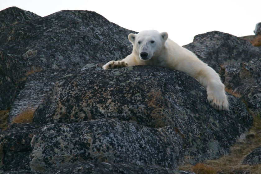 The Rise of ‘Eco-Anxiety’ and How It Could Shape the Future
