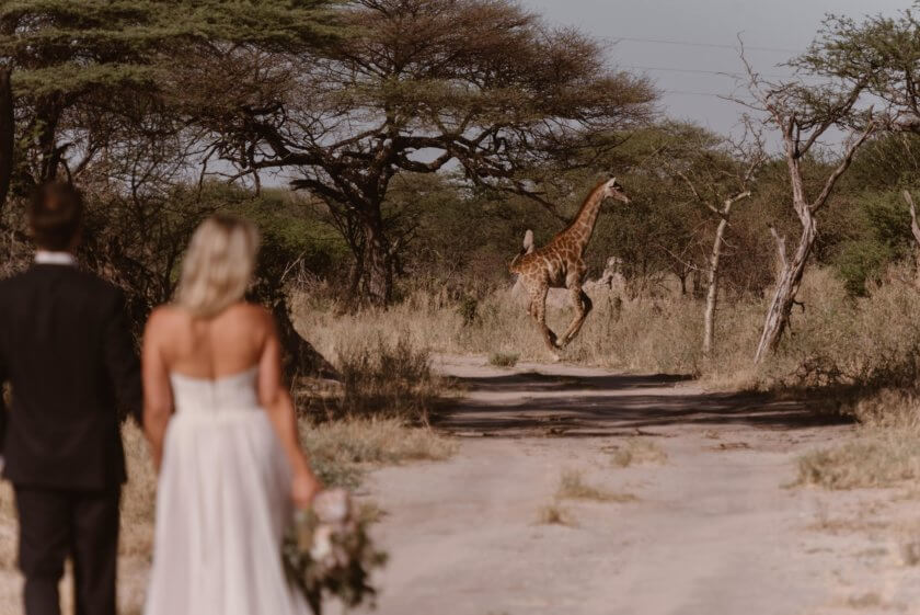 Meet The Photographer Traveling the World Capturing Epic Elopements