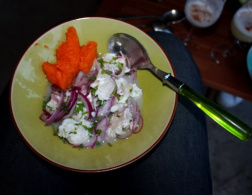 The ABC of preparing Ceviches