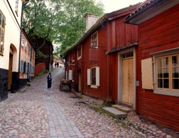 Back To The Roots: Historical Scandinavian Life