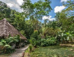 The Rainforest of the Austrians in Costa Rica