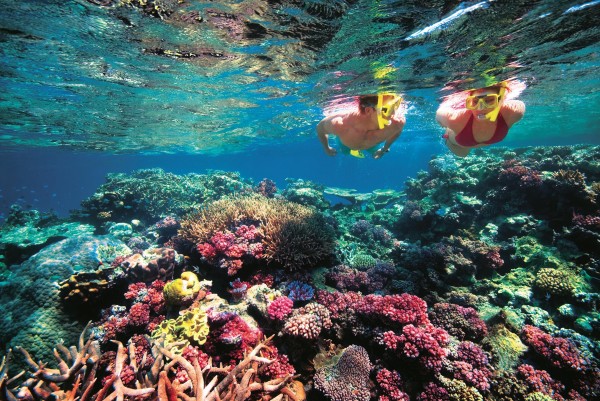 Belize-Barrier-Reef11